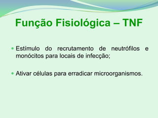 Função Fisiológica – TNF
 Estímulo do recrutamento de neutrófilos e
monócitos para locais de infecção;
 Ativar células para erradicar microorganismos.
 