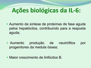 Ações biológicas da IL-6:
 Aumento da síntese de proteínas de fase aguda
pelos hepatócitos, contribuindo para a resposta
aguda;
 Aumento produção de neutrófilos por
progenitores da medula óssea;
 Maior crescimento de linfócitos B.
 