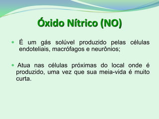 Óxido Nítrico (NO)
 É um gás solúvel produzido pelas células
endoteliais, macrófagos e neurônios;
 Atua nas células próximas do local onde é
produzido, uma vez que sua meia-vida é muito
curta.
 