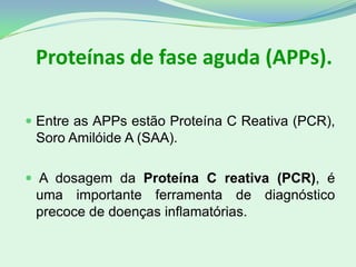  Entre as APPs estão Proteína C Reativa (PCR),
Soro Amilóide A (SAA).
 A dosagem da Proteína C reativa (PCR), é
uma importante ferramenta de diagnóstico
precoce de doenças inflamatórias.
Proteínas de fase aguda (APPs).
 