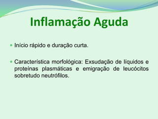 Inflamação Aguda
 Início rápido e duração curta.
 Característica morfológica: Exsudação de líquidos e
proteínas plasmáticas e emigração de leucócitos
sobretudo neutrófilos.
 