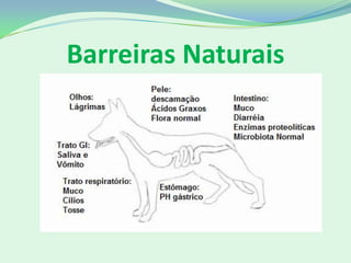 Barreiras Naturais
 