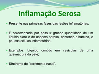 Inflamação Serosa
 Presente nas primeiras fases das lesões inflamatórias;
 É caracterizada por possuir grande quantidade de um
líquido claro e de aspecto seroso, contendo albumina, e
poucas células inflamatórias.
 Exemplos: Líquido contido em vesículas de uma
queimadura da pele;
 Síndrome do “corrimento nasal”.
 