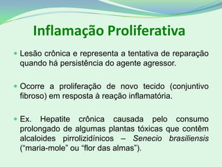 Inflamação Proliferativa
 Lesão crônica e representa a tentativa de reparação
quando há persistência do agente agressor.
 Ocorre a proliferação de novo tecido (conjuntivo
fibroso) em resposta à reação inflamatória.
 Ex. Hepatite crônica causada pelo consumo
prolongado de algumas plantas tóxicas que contêm
alcaloides pirrolizidínicos – Senecio brasiliensis
(“maria-mole” ou “flor das almas”).
 