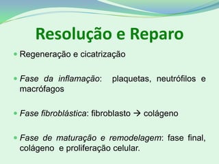 Resolução e Reparo
 Regeneração e cicatrização
 Fase da inflamação: plaquetas, neutrófilos e
macrófagos
 Fase fibroblástica: fibroblasto  colágeno
 Fase de maturação e remodelagem: fase final,
colágeno e proliferação celular.
 