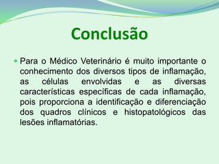 Conclusão
 Para o Médico Veterinário é muito importante o
conhecimento dos diversos tipos de inflamação,
as células envolvidas e as diversas
características específicas de cada inflamação,
pois proporciona a identificação e diferenciação
dos quadros clínicos e histopatológicos das
lesões inflamatórias.
 