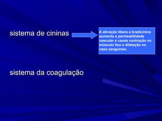 sistema de cininas  sistema da coagulação A ativação libera a bradicinina aumenta a permeabilidade vascular e causa contração no músculo liso e dilatação no vaso sanguíneo. 