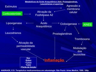 Estímulos Agressão a membrana celular Ativação da Fosfolipase A2 Ácido Araquidônico Lipoxigenase Cicloxigenase Modulação dos leucocitos  Ativação da permeabilidade vascular Inflamação  Corticosteróide   AINES ANDRADE, E.D. Terapêutica medicamentosa em odontologia. São Paulo: Artes Medica, 1999. 188p (45-55) Prostaglandinas Leucodrienos Tromboxana Dor  Rubor Tumor Calor Perda de função Metabólicos do Ácido Araquidônico (AA): Prostaglandinas, Leucotrienos e Leporinas 