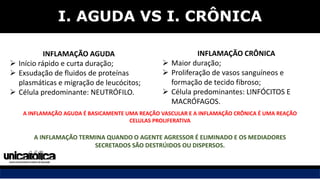 Qual é a diferença entre inflamação aguda e crônica? _ o que é ...