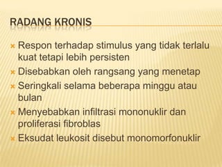 RADANG KRONIS
Respon terhadap stimulus yang tidak terlalu
kuat tetapi lebih persisten
 Disebabkan oleh rangsang yang menetap
 Seringkali selama beberapa minggu atau
bulan
 Menyebabkan infiltrasi mononuklir dan
proliferasi fibroblas
 Eksudat leukosit disebut monomorfonuklir


 