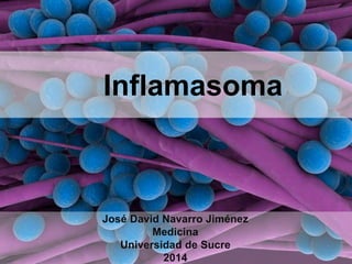 Inflamasoma
José David Navarro Jiménez
Medicina
Universidad de Sucre
2014
 