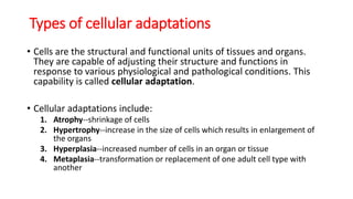 Tissue Adaptations Inflammation notes | PPTX