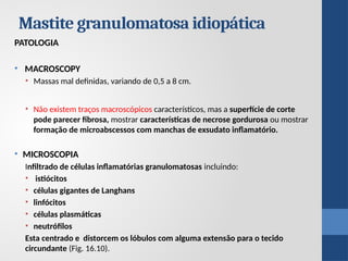 Mastite granulomatosa idiopática
PATOLOGIA
• MACROSCOPY
• Massas mal definidas, variando de 0,5 a 8 cm.
• Não existem traços macroscópicos característicos, mas a superfície de corte
pode parecer fibrosa, mostrar características de necrose gordurosa ou mostrar
formação de microabscessos com manchas de exsudato inflamatório.
• MICROSCOPIA
Infiltrado de células inflamatórias granulomatosas incluindo:
• istiócitos
• células gigantes de Langhans
• linfócitos
• células plasmáticas
• neutrófilos
Esta centrado e distorcem os lóbulos com alguma extensão para o tecido
circundante (Fig. 16.10).
 