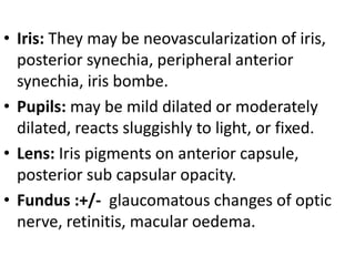• Iris: They may be neovascularization of iris,
posterior synechia, peripheral anterior
synechia, iris bombe.
• Pupils: may be mild dilated or moderately
dilated, reacts sluggishly to light, or fixed.
• Lens: Iris pigments on anterior capsule,
posterior sub capsular opacity.
• Fundus :+/- glaucomatous changes of optic
nerve, retinitis, macular oedema.
 