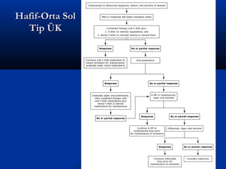 HHaaffiiff--OOrrttaa SSooll 
TTiipp ÜÜKK 
 