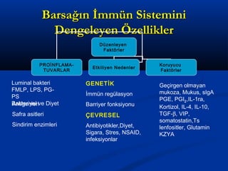 BBaarrssaağğıınn İİmmmmüünn SSiisstteemmiinnii 
DDeennggeelleeyyeenn ÖÖzzeelllliikklleerr 
Düzenleyen 
Faktörler 
PROİNFLAMA-TUVARLAR 
Etkiliyen Nedenler Koruyucu 
Faktörler 
Luminal bakteri 
FMLP, LPS, PG-PS 
BAanktitgeerinyleelr ive Diyet 
Safra asitleri 
Sindirim enzimleri 
GENETİK 
İmmün regülasyon 
Barriyer fonksiyonu 
ÇEVRESEL 
Antibiyotikler,Diyet, 
Sigara, Stres, NSAID, 
infeksiyonlar 
Geçirgen olmayan 
mukoza, Mukus, sIgA 
PGE, PGI2,IL-1ra, 
Kortizol, IL-4, IL-10, 
TGF-b, VIP, 
somatostatin,Ts 
lenfositler, Glutamin 
KZYA 
 