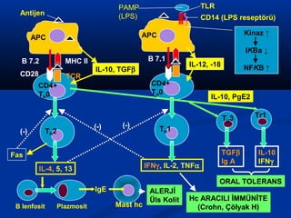 APC 
B 7.2 
CD28 
CD4+ 
TH0 
MHC II 
Antijen 
TCR 
TH2 
IL-4, 5, 13 
IgE 
APC 
Mast hc 
TLR 
CD14 (LPS reseptörü) 
B 7.1 
CD4+ 
TH0 
TH1 
IFNg, IL-2, TNFa 
IL-10, PgE2 
TH3 Tr1 
TGFb 
Ig A 
IL-10 
IFNg 
ORAL TOLERANS 
ALERJİ 
Üls Kolit Hc ARACILI İMMÜNİTE 
(Crohn, Çölyak H) 
(-) (-) 
Kinaz ↑ 
IKBa ↓ 
NFKB ↑ 
PAMP 
(LPS) 
(-) 
Fas 
B lenfosit Plazmosit 
IL-10, TGFb IL-12, -18 
 
