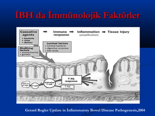 İİBBHH ddaa İİmmmmüünnoolloojjiikk FFaakkttöörrlleerr 
Gerard Rogler Update in İnflammatory Bowel Disease Pathogenesis,2004 
 