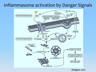 Inflammasomes: Guardian Angels of the body | PPTX