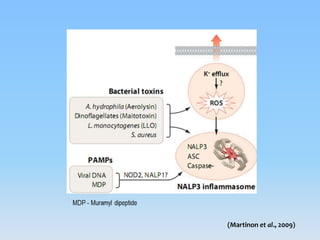 Inflammasomes: Guardian Angels of the body | PPTX