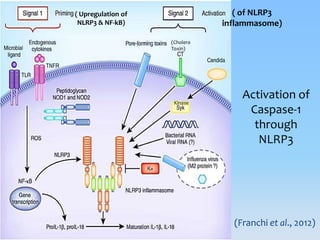 Inflammasomes: Guardian Angels of the body | PPTX