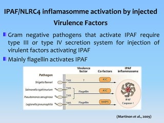 Inflammasomes: Guardian Angels of the body | PPTX