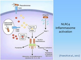 Inflammasomes: Guardian Angels of the body | PPTX