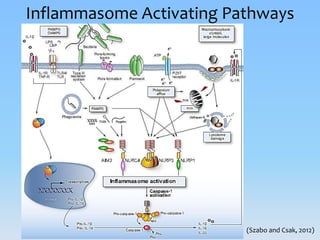 Inflammasomes: Guardian Angels of the body | PPTX