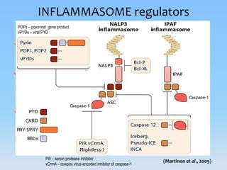Inflammasomes: Guardian Angels of the body | PPTX