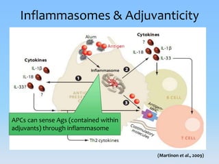 Inflammasomes: Guardian Angels of the body | PPTX