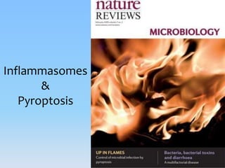 Inflammasomes: Guardian Angels of the body | PPTX