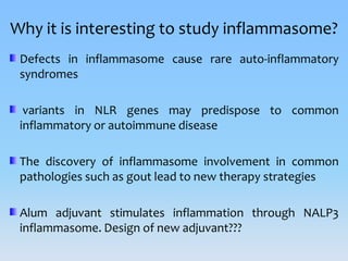 Inflammasomes: Guardian Angels of the body | PPTX
