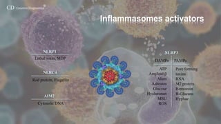 Inflammasomes-Creative Diagnostics | PPTX
