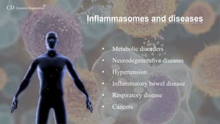 Inflammasomes-Creative Diagnostics | PPTX