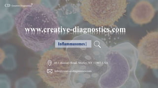 Inflammasomes-Creative Diagnostics | PPTX