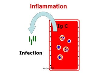 Inflammation 1