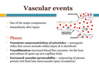 Inflammation Vascular & Cellular changes | PPTX