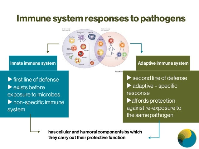 non specific immune response