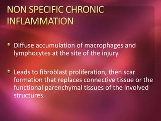 Diffuse accumulation of macrophages and
lymphocytes at the site of the injury.
Leads to fibroblast proliferation, then scar
formation that replaces connective tissue or the
functional parenchymal tissues of the involved
structures.
 