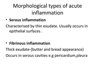 Morphological types of acute
inflammation
• Serous inflammation
Characterised by thin exudate. Usually occurs in
epithelial surfaces .
• Fibrinous inflammation
Thick exudate-(butter and bread appearance)
Occurs in serous cavities e.g pericardium,pleura

 