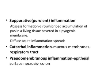 • Suppurative(purulent) inflammation
Abscess formation-circumscribed accumulation of
pus in a living tissue covered in a pyogenic
membrane.
Diffuse acute inflammation-spreads

• Catarrhal inflammation-mucous membranesrespiratory tract
• Pseudomembranous inflammation-epitheial
surface necrosis- colon

 