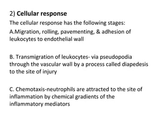 2) Cellular response
The cellular response has the following stages:
A.Migration, rolling, pavementing, & adhesion of
leukocytes to endothelial wall
B. Transmigration of leukocytes- via pseudopodia
through the vascular wall by a process called diapedesis
to the site of injury
C. Chemotaxis-neutrophils are attracted to the site of
inflammation by chemical gradients of the
inflammatory mediators

 