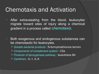 Inflammation | PPT