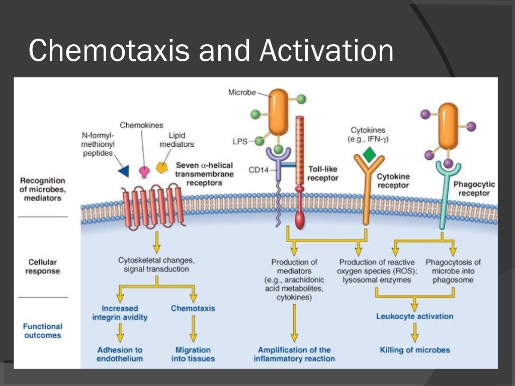 Inflammation