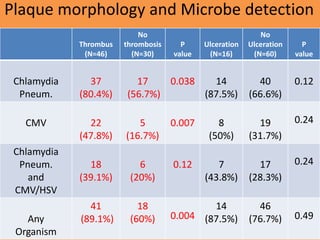 Thrombus
(N=46)
No
thrombosis
(N=30)
P
value
Ulceration
(N=16)
No
Ulceration
(N=60)
P
value
Chlamydia
Pneum.
37
(80.4%)
17
(56.7%)
0.038 14
(87.5%)
40
(66.6%)
0.12
CMV 22
(47.8%)
5
(16.7%)
0.007 8
(50%)
19
(31.7%)
0.24
Chlamydia
Pneum.
and
CMV/HSV
18
(39.1%)
6
(20%)
0.12 7
(43.8%)
17
(28.3%)
0.24
Any
Organism
41
(89.1%)
18
(60%) 0.004
14
(87.5%)
46
(76.7%) 0.49
Plaque morphology and Microbe detection
 