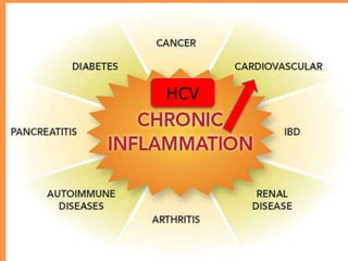 Hep C infection as an example of
chronic inflammation
and it’s associations
HCV
 