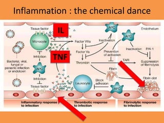 Inflammation : the chemical dance
IL
TNF
 