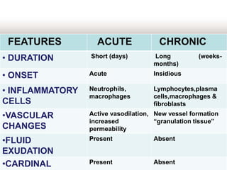 Inflammation | PPTX