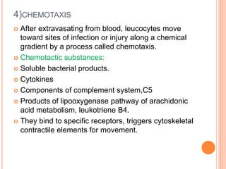 Inflammation | PPTX