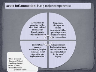 Acute Inflammation: Has 3 major components:
• Heat (colour)
• Redness (Nubor)
• Swelling (Tumor)
• Pain (Dolor)
• Loss of function
(Functio-laesa)
Alteration in
vascular caliber
that lead to local
increase in
blood supply
=Vasodilatatio
n
Structural
changes in
micro
vasculature that
permit plasma
protein to leave
the circulation
Emigration of
leukocytes from
microcirculation
& accumulation
in focus of
injury
These three
process
accounts for fine
classical local
sign of acute
inflammation :
 